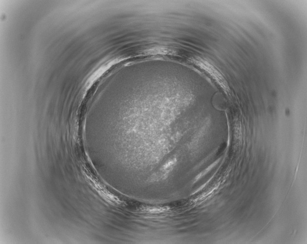 X0000087051023200704250959