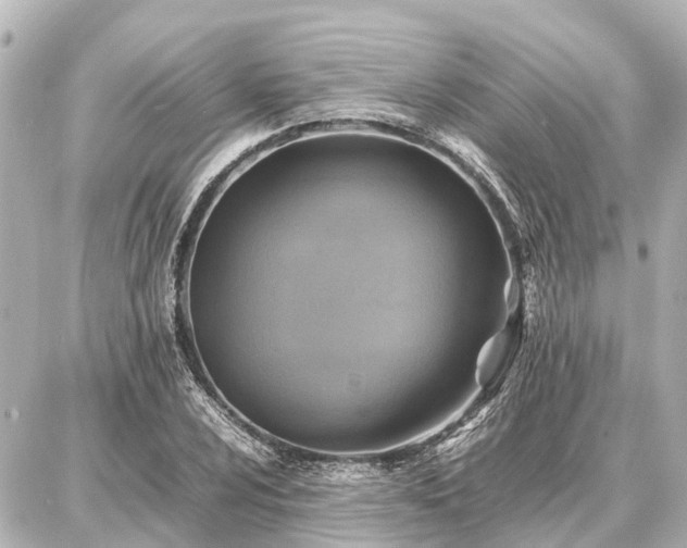 X0000087051024200704250959