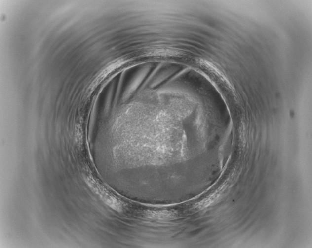 X0000087051025200704250959