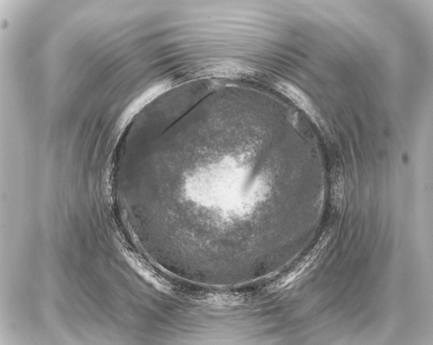 X0000087051026200704250959