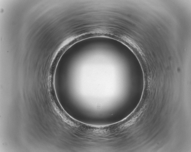 X0000087051029200704250959