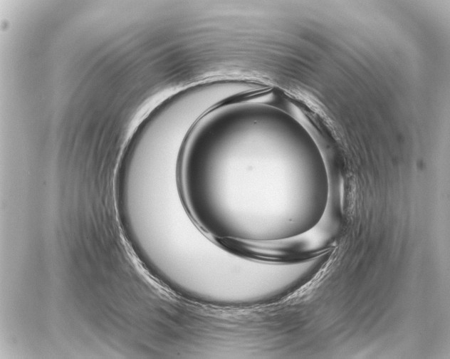 X0000087051030200704250959