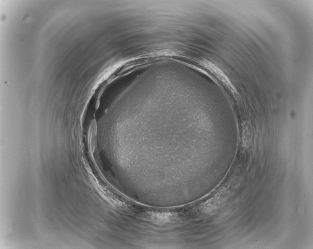 X0000087051031200704250959