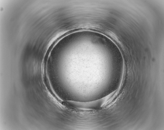 X0000087051032200704250959