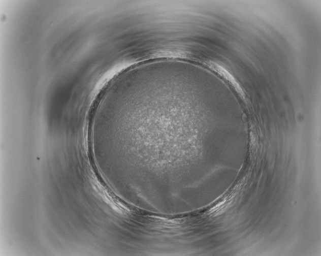 X0000087051035200704250959