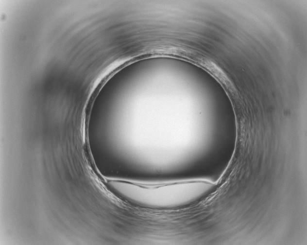 X0000087051036200704250959