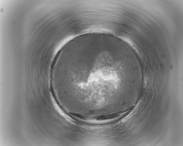 X0000087051038200704250959