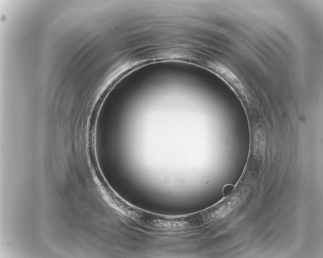 X0000087051039200704250959