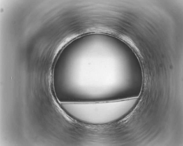 X0000087051040200704250959