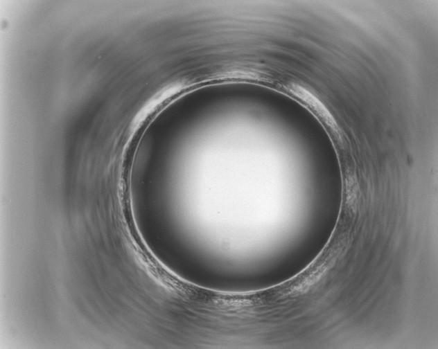 X0000087051043200704250959