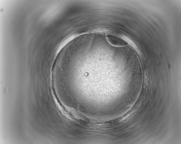 X0000087051047200704250959