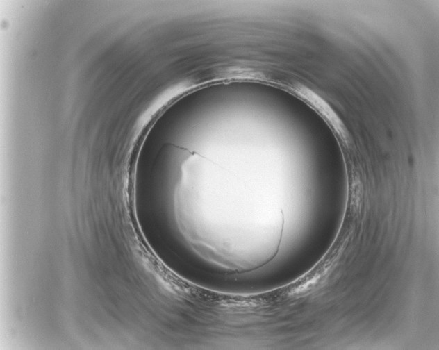 X0000087051051200704250959