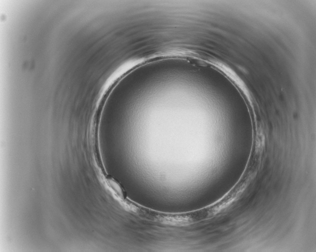 X0000087051053200704250959