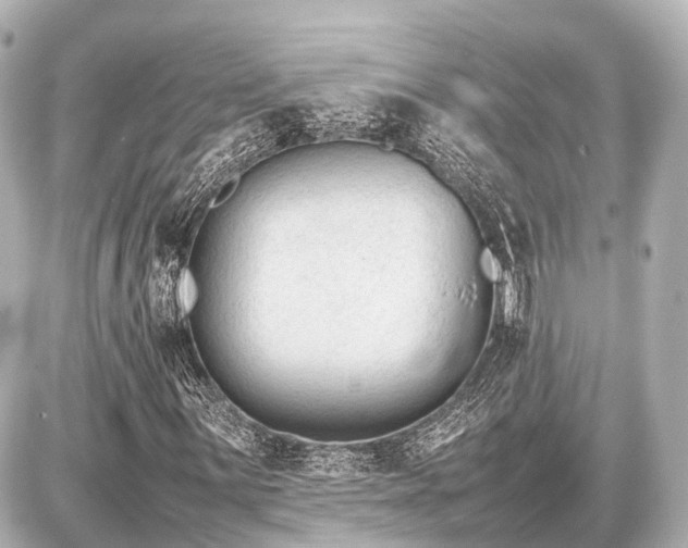 X0000087051059200704250958