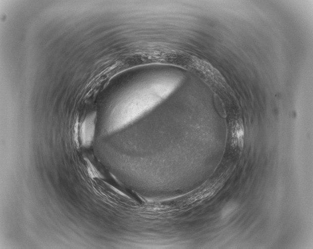 X0000087051060200704250958