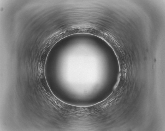 X0000087051062200704250958
