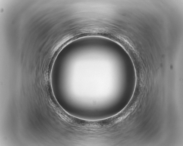 X0000087051073200704250958