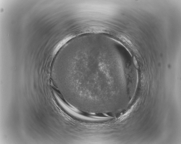 X0000087051081200704250958