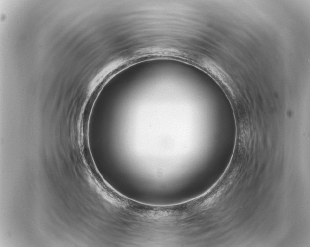 X0000087051082200704250958