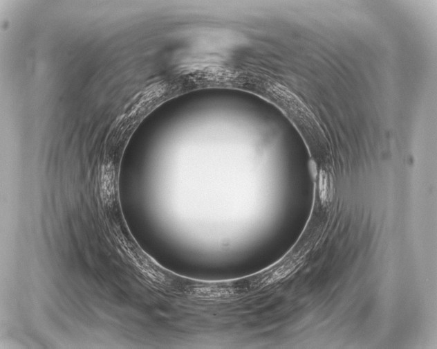 X0000087051107200704250957