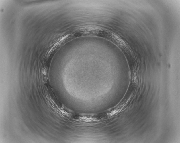 X0000087051108200704250957
