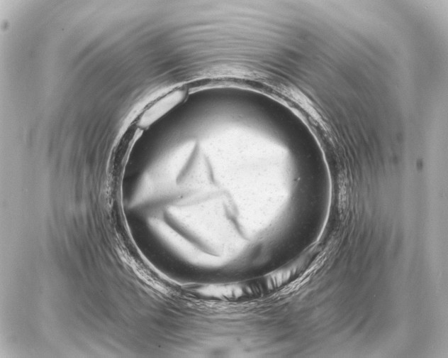 X0000087051116200704250957