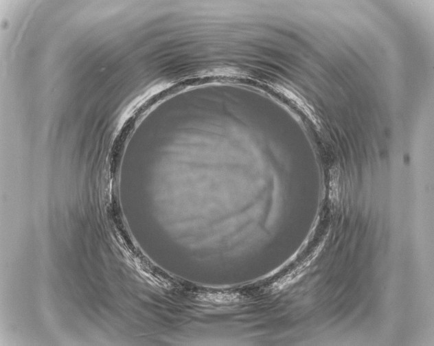 X0000087051117200704250957