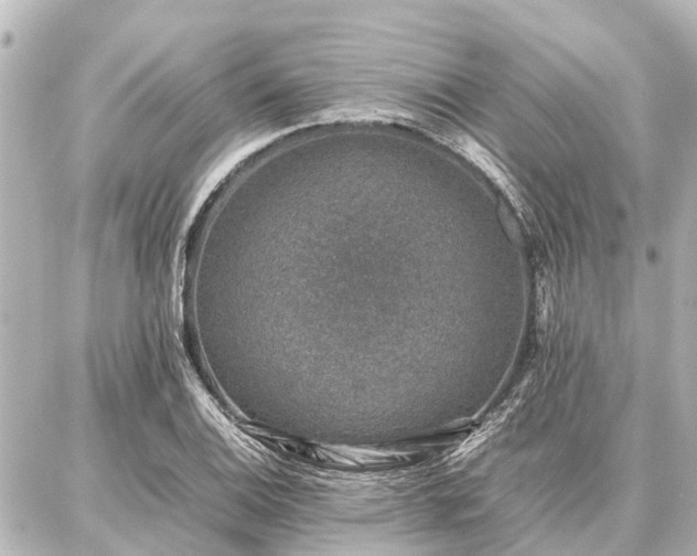 X0000087051124200704250957