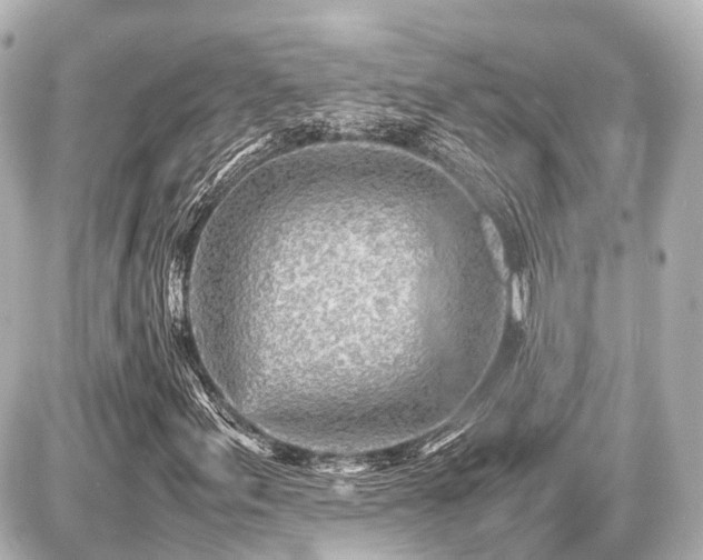 X0000087051155200704250957