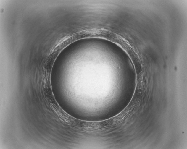 X0000087051158200704250957