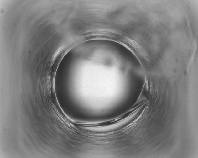 X0000087051164200704250957