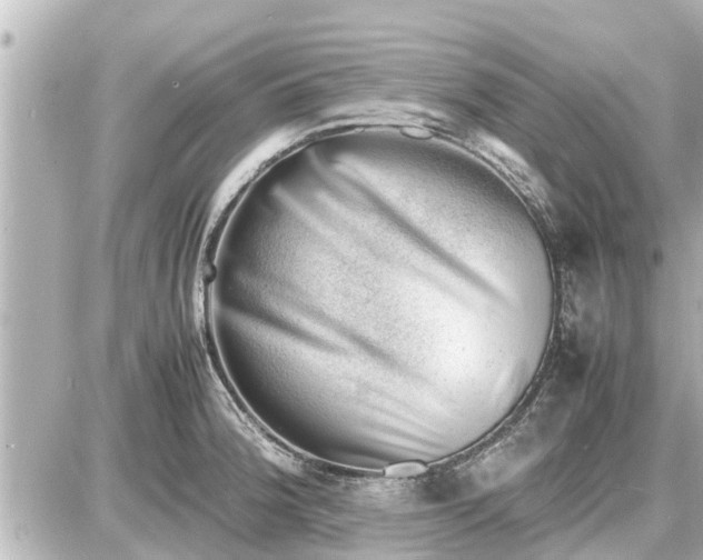 X0000087051188200704250956