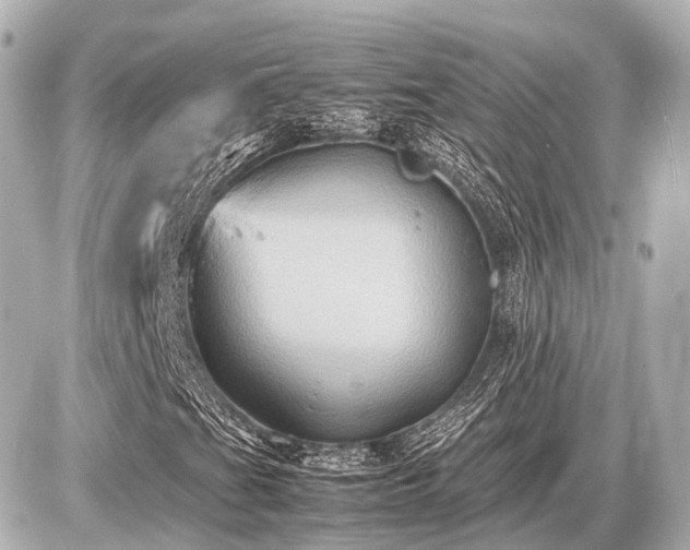 X0000087051201200704250955