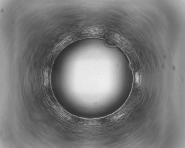 X0000087051203200704250955