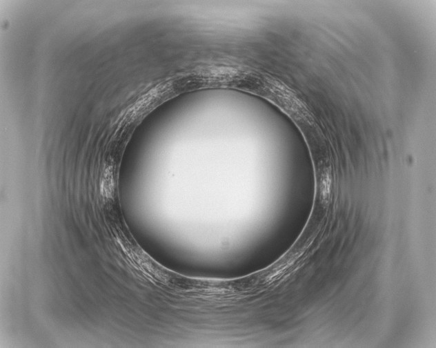 X0000087051204200704250955
