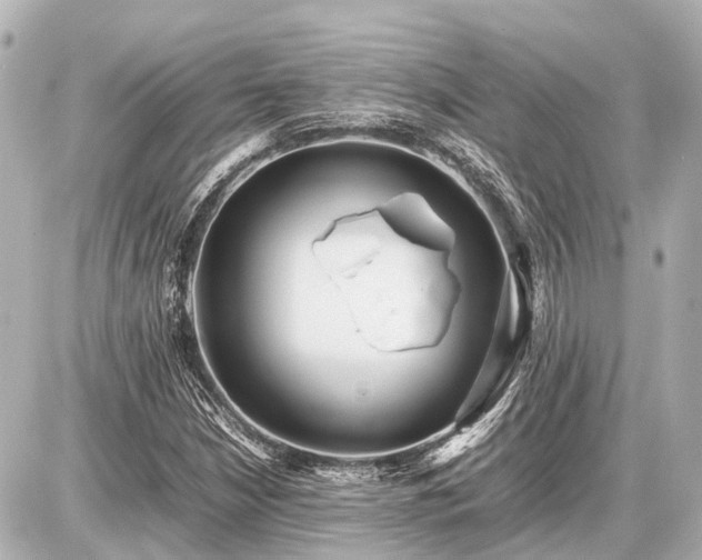 X0000087051210200704250955