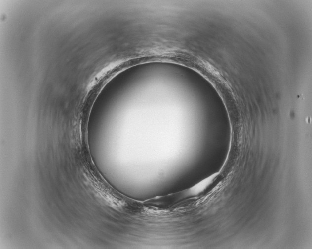 X0000087051214200704250955