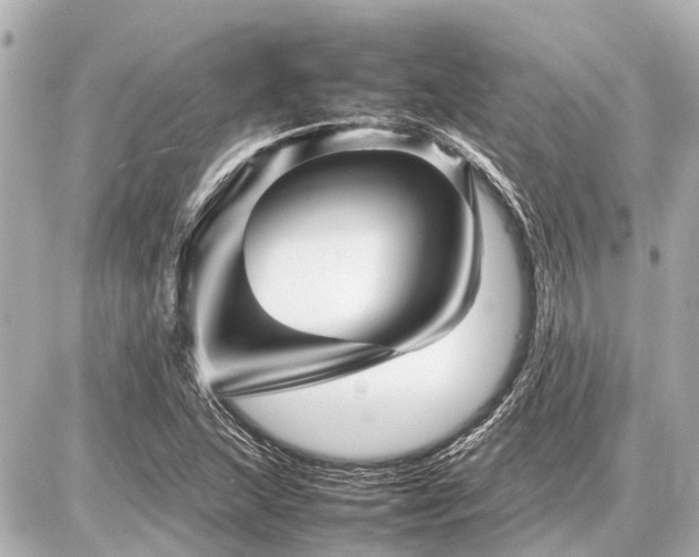 X0000087051215200704250955