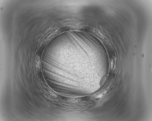 X0000087051251200704250955