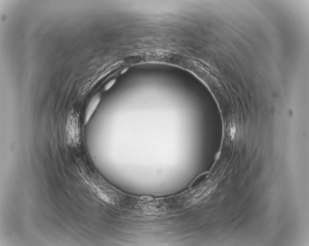 X0000087051252200704250955