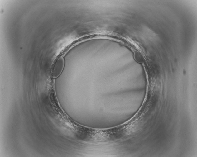 X0000087051263200704250955