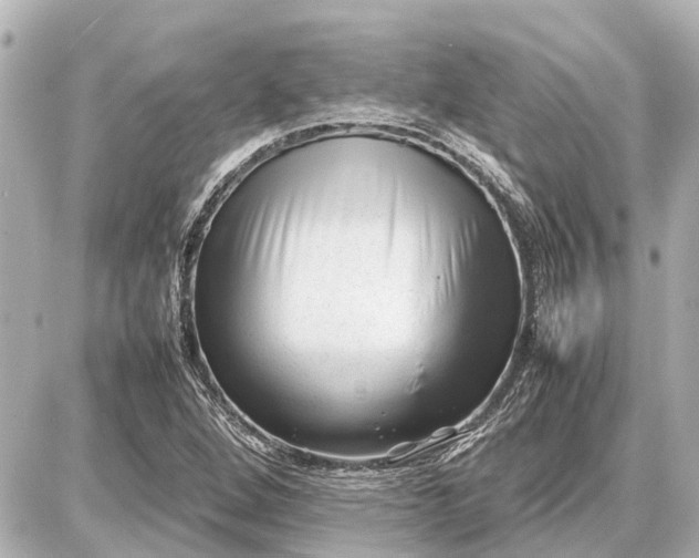X0000087051264200704250955