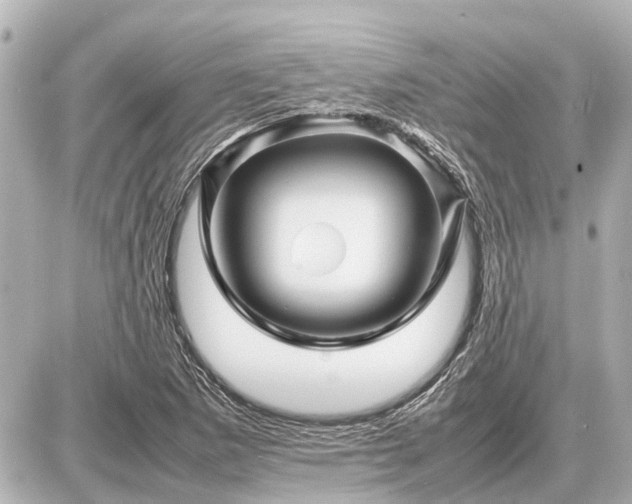 X0000087051265200704250955