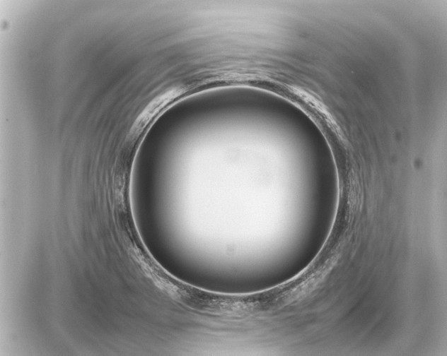 X0000087051273200704250955