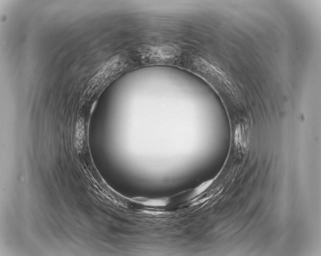 X0000087051299200704250954