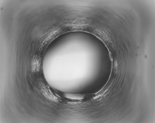 X0000087051300200704250954
