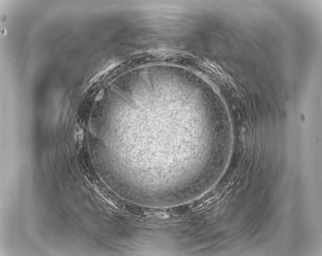 X0000087051302200704250954