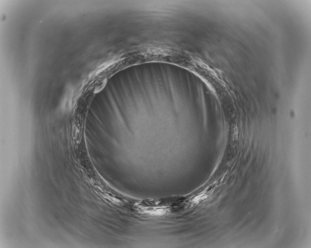 X0000087051303200704250954