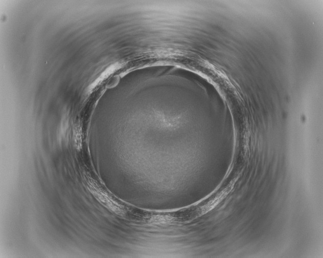 X0000087051306200704250954