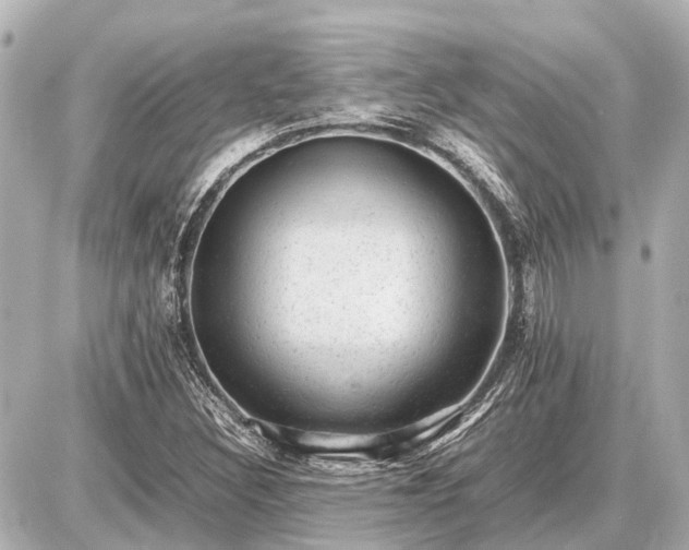 X0000087051308200704250954